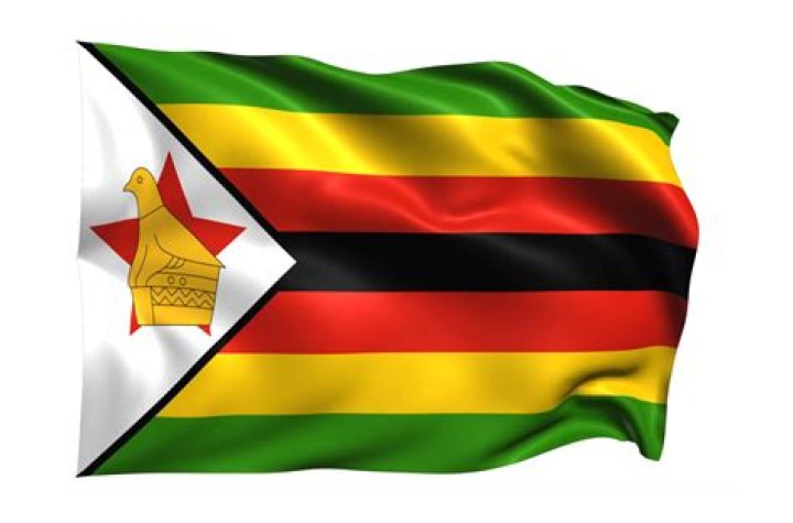 
Chipo Chung’s Father Rugare Gumbo Is An Active Politician Involved in Zimbabwean Government For Years 
